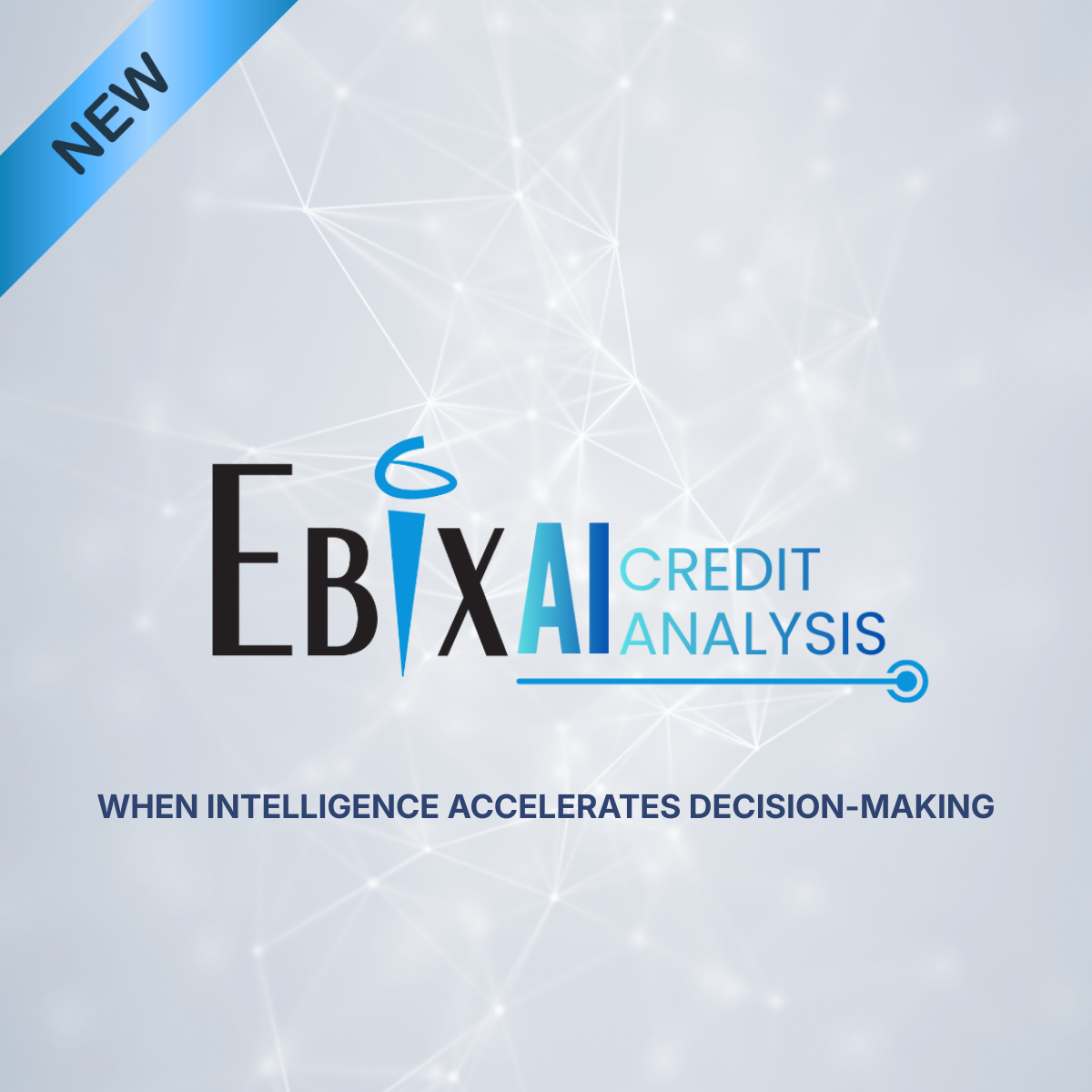 Ebix AI Credit Analysis